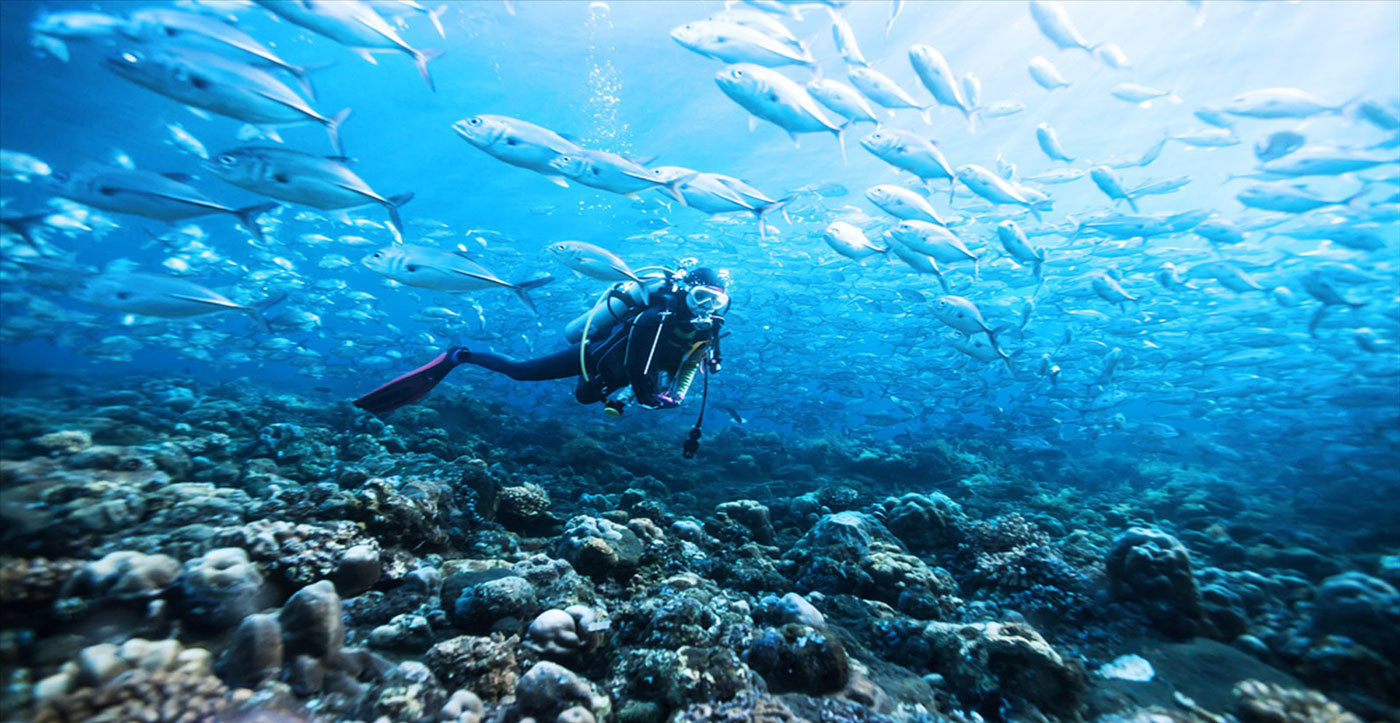 Antalya Dalış-tüplü dalış-scuba diving-tanıtım dalışı-dalış eğitimi