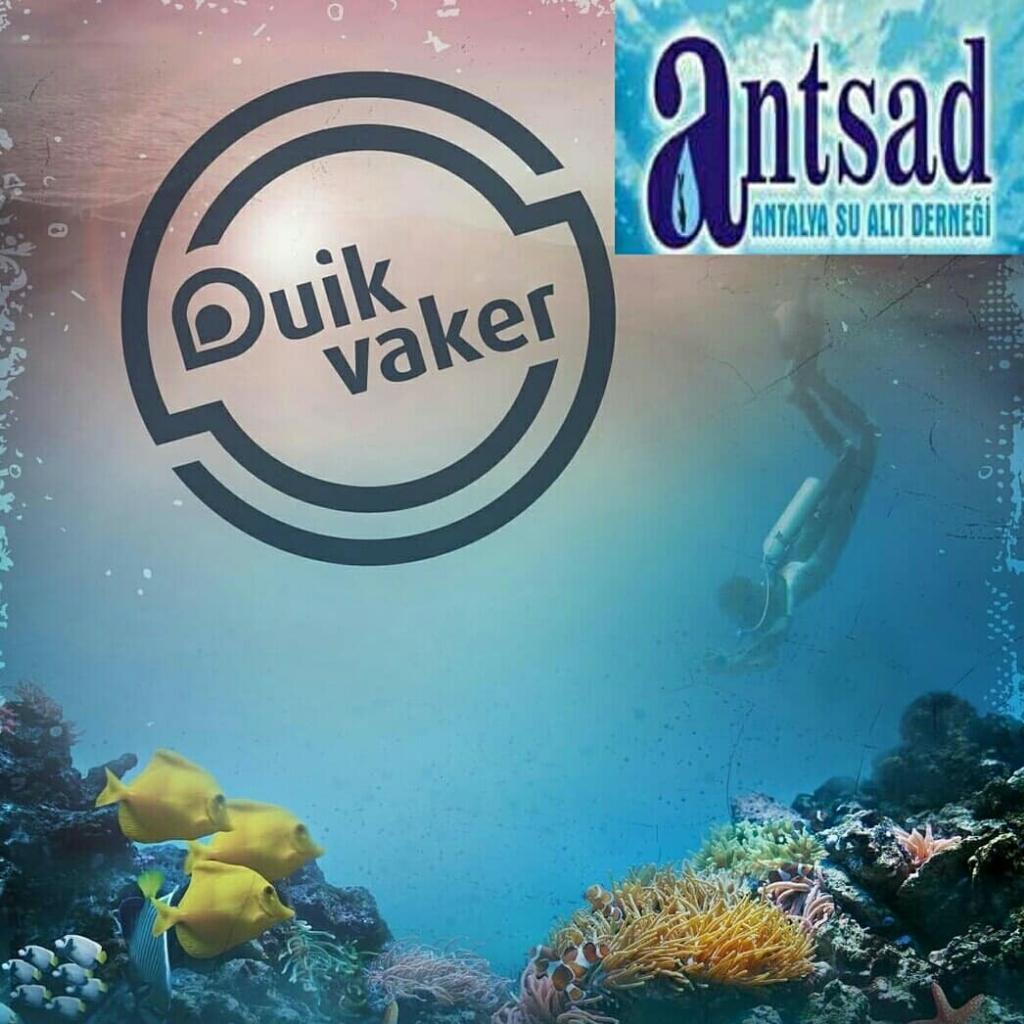 Çevreci dalışlar-hollanda sualtı-sivil düşün-scuba diving-duikvaker fair